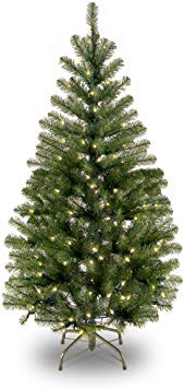 National Tree 4 Foot Aspen Spruce Tree with 100 Clear Lights (AP7-300-40)