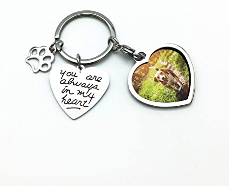 Pet Dog Remembrance Memorial Photo Frame Keychain Gifts, Pet Sympathy Present,You are Always in My Heart