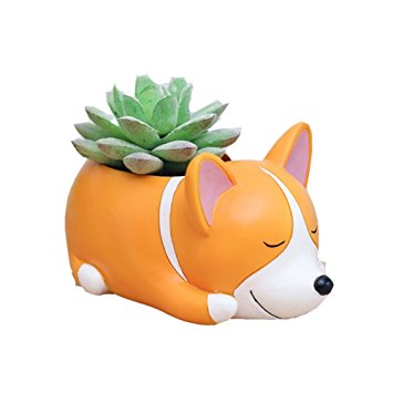 Youfui Cute Dog Flowerpot Resin Succulent Planter Desk Mini Ornament (Crogi dog)