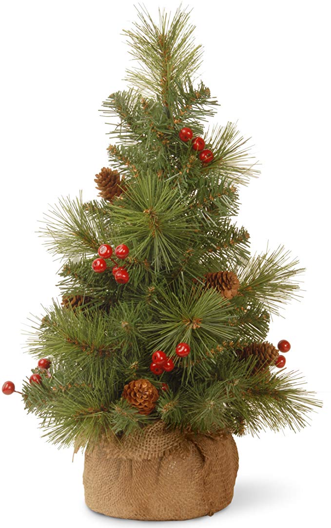 National Tree 18 Inch Everyday Collection Mini Pine Cone and Berry Tree in Burlap (ED7-703-18-1)