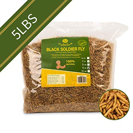 diig Non-GMO Dried Mealworms/Crickets/Black Soldier Fly - Treats for Birds Chickens Hedgehog Hamster Fish Reptile Turtles (5 lb, Black Soldier Fly)