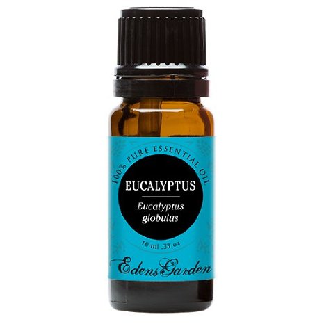 Eucalyptus 100% Pure Therapeutic Grade Essential Oil- 10 ml