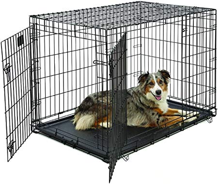 Large Dog Crate | Midwest Life Stages Double Door Folding Metal Dog Crate | Divider Panel, Floor Protecting Feet, Leak-Proof Dog Tray | 42L x 28W x 31H Inches, Large Dog Breed