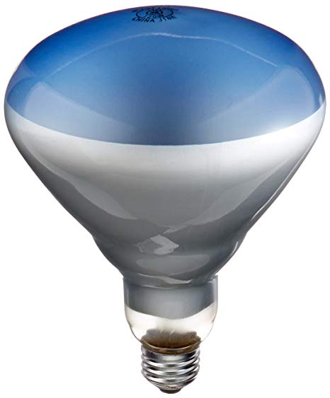 GE Lighting 21000 120-Watt Incandescent Plant Lighting Bulb, R40 Style (5" Diameter)