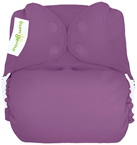 bumGenius Freetime All-In-One One-Size Snap Closure Cloth Diaper (Jelly)