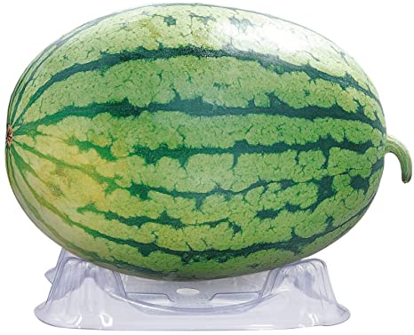 Quiote Plastic Melon Support Plant Garden Cradles - Garden Plant Support Protector Cages for Watermelon, Squash, Pumpkin - Holds up to 10 lbs (50 Pack)