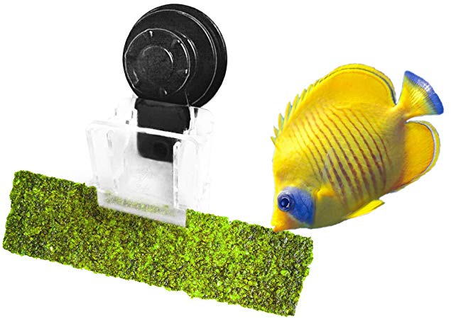 Luffy Aquarium Clip – Ideal for Feeding Grazing Fishes - Holds Veggies, Algae, Seaweed Sheets, Betta Bed, Feeding Accessories – Plastic, No Metal Parts – 100% Fish Safe