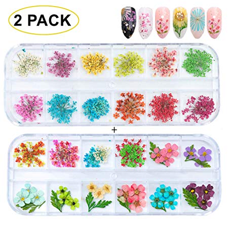 GOTONE 120pcs Dried Flowers 3D Nail Art Stickers Decoration DIY Preserved Real Flower Stickers Tips Manicure Decor Mixed Accessories,80pcs Starry 40pcs Five Flower with Leaves (2 Boxes)