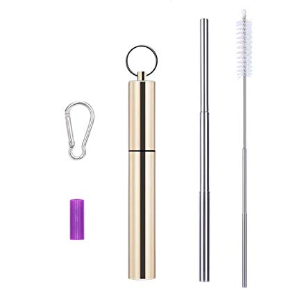 RESTER Reusable Drinking Straw Telescopic Stainless Steel Portable Straw with Metal Keychain Case and Telescopic Brush(Polish-Gold)
