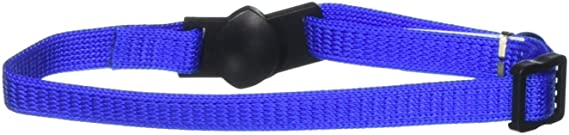 Aspen Pets Adjustable Breakaway Cat Collar