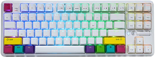 EPOMAKER K870T 87 Keys Bluetooth Wired/Wireless Mechanical Keyboard with RGB Backlit, Type C Cable, 2000mAh Battery, NKRO for Gamer (Brown Switch, White)