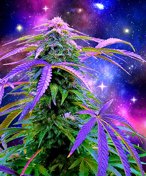 Heavy 3lb Thick Soft Marijuana Mink Blanket "Cosmic Weed"