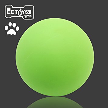 Fetch and Glow Dog Ball Self Luminous Ball EETOYS Night Light Interactive Toy, Fluorescent Mint