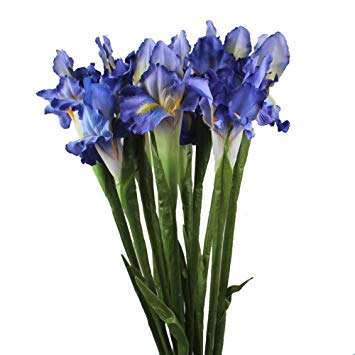 AerWo 5Pcs Artificial Silk Flower Bridal Real Touch Iris Flower for Wedding Party Banquet Home Decoration Blue Purple