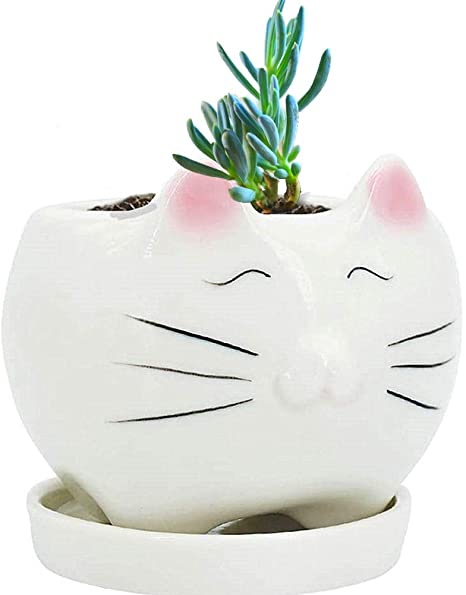 JIAEN Succulent Pots with Drainage Tray,3 inch Glazed White Ceramic Cat Planters for Indoor Plants Home Office Succulents Cactus Decor