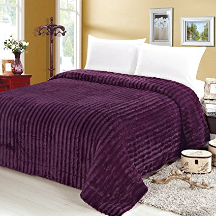 Sweet Home Collection Reversible to Mink Decorative Blanket, Twin, Ribbed, Plum