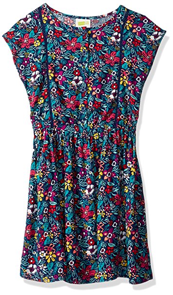 Crazy 8 Little Girls' Floral Print Dress