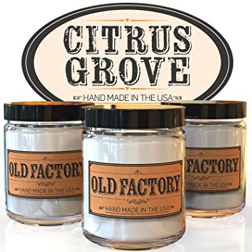 Scented Candles - Citrus Grove - Set of 3: Key Lime, Lemongrass, and Orange Zest - 3 x 4-Ounce Soy Candles