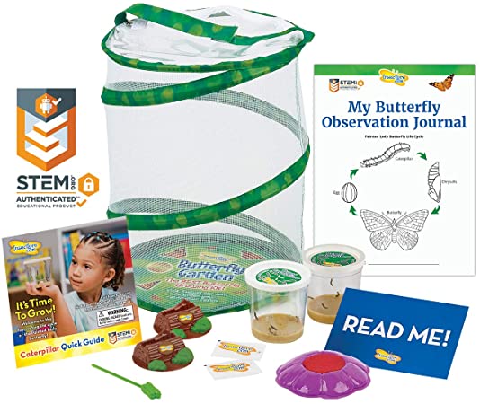 Insect Lore Butterfly Garden: Original Habitat and Two Live Cups of Caterpillars with STEM Butterfly Journal – Life Science & STEM Education – Butterfly Kit