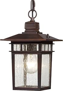 Nuvo 60/4955 One Light Hanging Lantern, UNKNOWN, Bronze/Dark