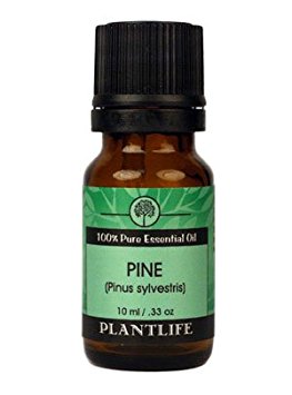 Pine Needle 100% Pure Essential Oil - 10 ml