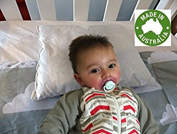 Tetra 12-Inch x 10-Inch Tea Tree Toddler Bed Pillow