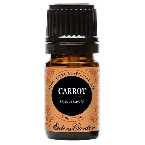 Carrot Seed 100 Pure Therapeutic Grade Essential Oil by Edens Garden- 5 ml