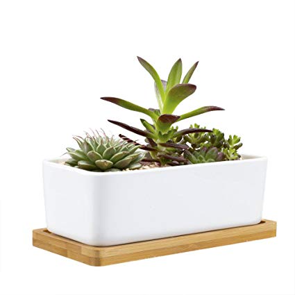 Mkono Rectangular Succulent Planter with Bamboo Base White Ceramic Plant Pot with Drainage,6 1/2 Inch