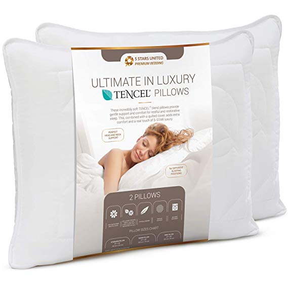 5 STARS UNITED Bed Pillows for Sleeping - 2-Pack - Mid Loft - Soft Fiber Fill - Hypoallergenic - Stripe Cotton Covers - Best Alternative to Feather and Down Bedding (Tencel Queen 20" x 30")