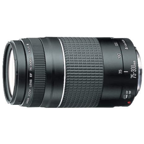 Canon EF 75-300mm f4-56 III Telephoto Zoom Lens for Canon SLR Cameras