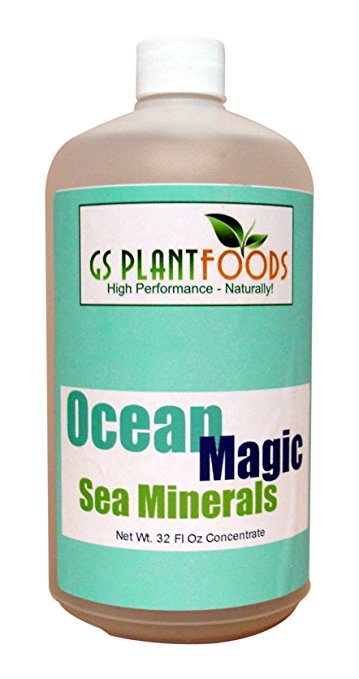 Ocean Magic Sea Minerals, 32 fl. oz.