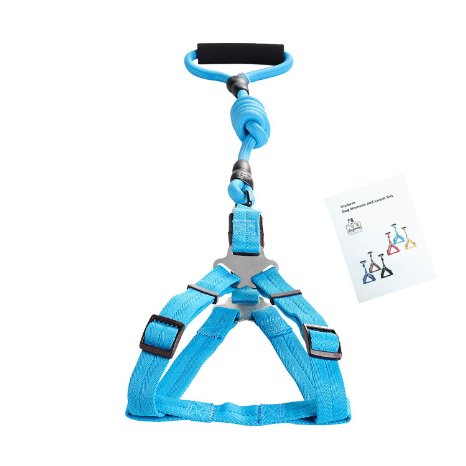 Vicform Dog Harness & Leash Set: for Walking, Jogging, and Training your Pet- Heavy Duty Poly/Nylon Straps/ Anti-Twist Leash on Spin Clasp- Durable Braid Leash / Comfort Foam Handle/ Bright Colors