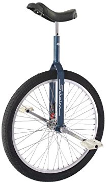 Schwinn 24" Unicycle w/ 350mm Seat Post - Retro Blue