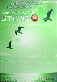 The Power of Now (New Edition) (Chinese Edition)