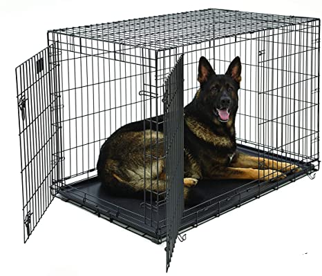 XL Dog Crate | Midwest Life Stages Double Door Folding Metal Dog Crate | Divider Panel, Floor Protecting Feet, Leak-Proof Dog Tray | 48L x 30W x 33H Inches, XL Dog Breed
