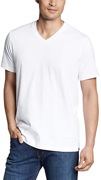 Eddie Bauer Men's Legend Wash Pro Short-Sleeve V-Neck T-Shirt