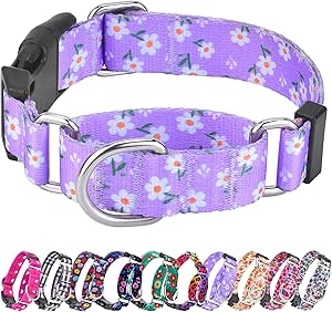 Martingale Collar for Dogs, Adjustable Soft Nylon Dog Collars with Special Design Cute Patterns for Puppy XSmall Dog Collar (X-Small,Purple Flower)