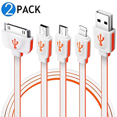 Winsword Multi Charger Cable, 2 Pack (3.3ft) 4 in 1 Multiple USB Charging Cable Adapter with Micro USB 2.0, 8 Pin Lightning, 30 Pin, Mini USB Ports for iPhone, iPad Air, Samsung Galaxy, Android