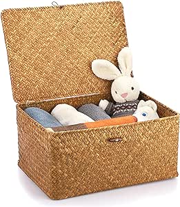 Hipiwe Wicker Shelf Baskets Bin with Lid, Handwoven Seagrass Basket Storage Bins Rectangular Household Basket Boxes for Shelf Wardrobe Home Organizer, Caramel X-Large