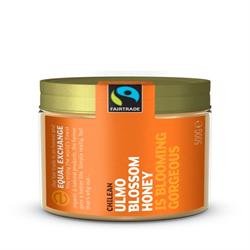 Equal Exchange Chilean Ulmo Blossom Honey 500g