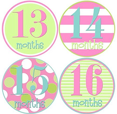 Mumsy Goose Baby Girl Stickers Monthly Age Stickers 13-24 Months