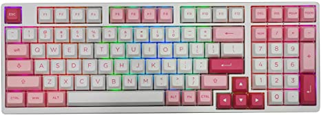 EPOMAKER AKKO Prunus Lannesiana 3098B 98 Keys Hot-Swap 2.4Ghz Wireless/Bluetooth/Wired Mechanical Keyboard with RGB Backlight, PBT Keycaps for Gamers (AKKO CS Jelly Pink, 3098B Prunus Lannesiana)