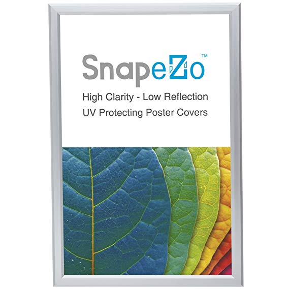 SnapeZo Poster Frame 18x24 Inches, Silver 1.25" Aluminum Profile, Front-Loading Snap Frame, Wall Mounting, Professional Series
