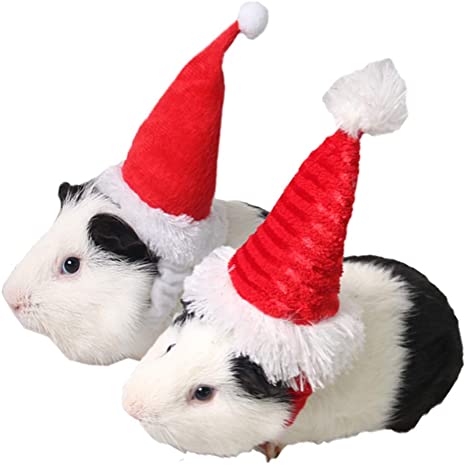 ANIAC Pet Christmas hat Santa Claus Cap Head Accessories for Rabbit Hamster Guinea Pig Rats Kitten Kitty and Small Animals