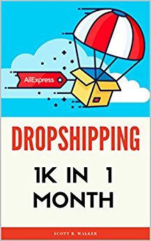 DROPSHIPPING: 1K IN 1 MONTH - a step-by-step guide, 2nd edition