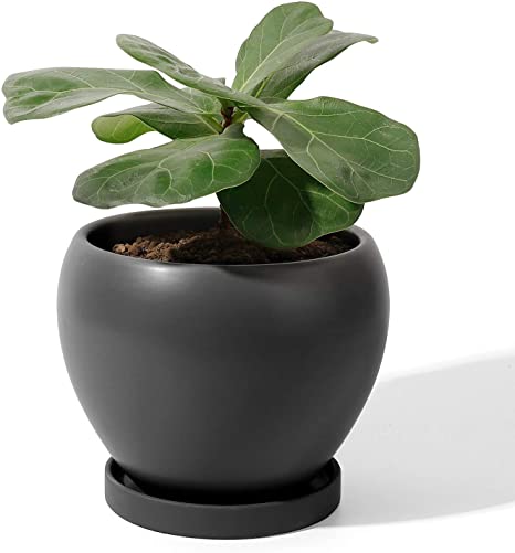 POTEY 052502 Ceramic Plant Pot Planter - 5.6 Inches Black Planter for Indoor Plants Flower Succulent with Drainage Hole & Saucer