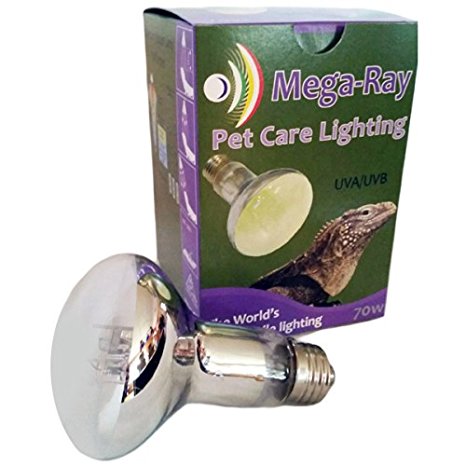Mega-Ray Mercury Vapor Bulb - 70 Watts - Smallest UV Vapor Bulb On The Planet