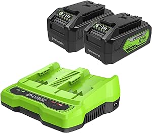 Greenworks 24V 4.0Ah USB Battery (2-Pack) Starter Kit   Dual Port Rapid Charger (Genuine Greenworks Parts)