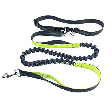 Hands Free Dog Leash, PYRUS Dual Handle Running Leash Shock Absorbing Extendible Bungee Adjustable Waist Belt For Running Walking & Jogging