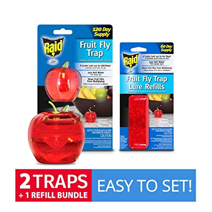 Raid Fruit Fly Trap (2-Pack)   Refill Bundle, 180-day Supply of Fruit Fly Traps, Plastic Fruit Fly Catcher, Reusable Gnat Trap, Non Toxic Insect Killer Traps w/Bonus Food-Based Fruit Fly Lure Refills